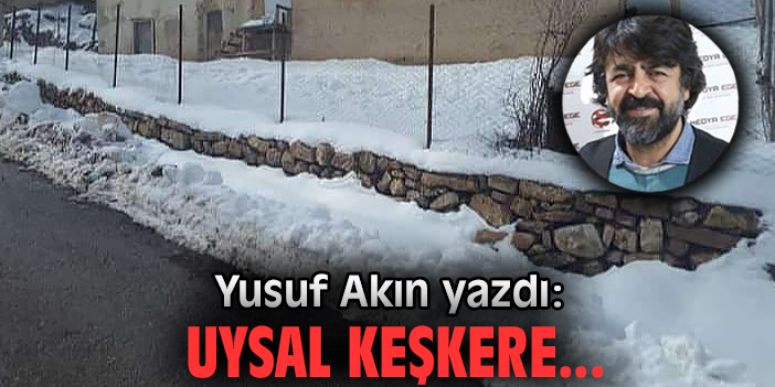 Uysal keşkere...