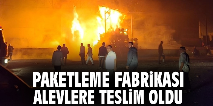 Paketleme fabrikası alevlere teslim oldu