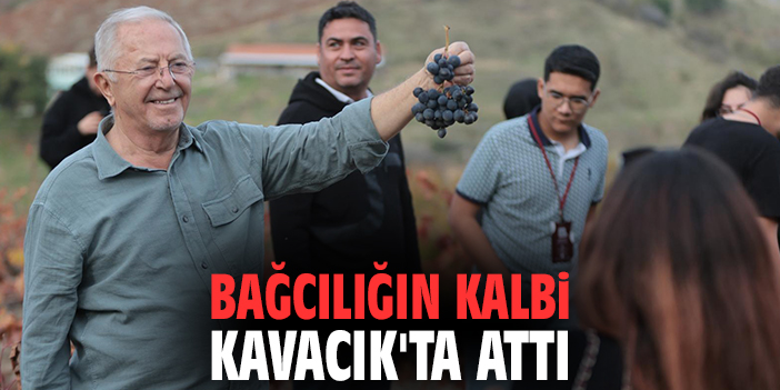 Bağcılığın kalbi Kavacık'ta attı