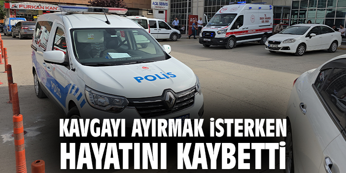 Kavgayı ayırmak isterken hayatını kaybetti