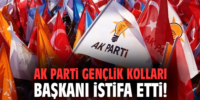 Ak Parti Gençlik Kolları Başkanı istifa etti!