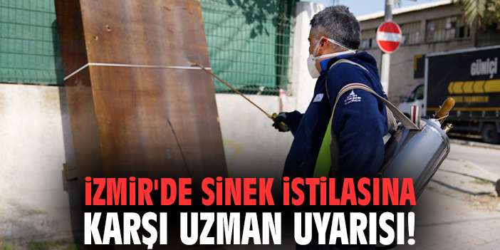 İzmir'de sinek istilasına karşı uzman uyarısı!