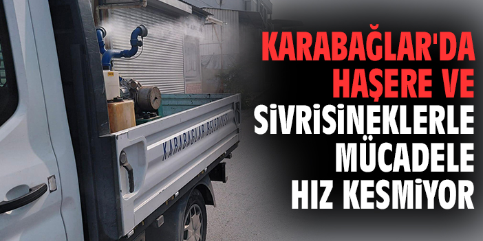 Karabağlar'da haşere ve sivrisineklerle mücadele hız kesmiyor