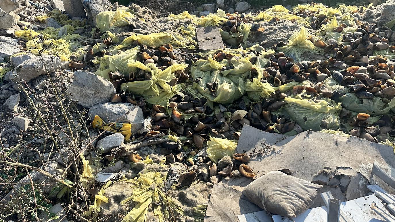 Vatandaşlardan Başkan Mehmet Türkmen’e: “Bu kokuyu biz mi çekeceğiz?”