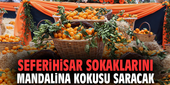 Seferihisar sokaklarını mandalina kokusu saracak