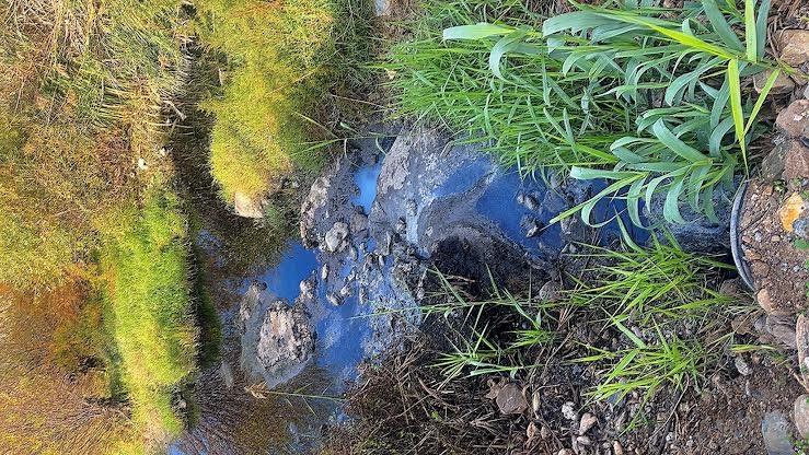 TORBALI’DA ÇEVRE KATLİAMI!