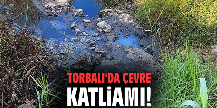 Torbalı'da çevre katliamı!