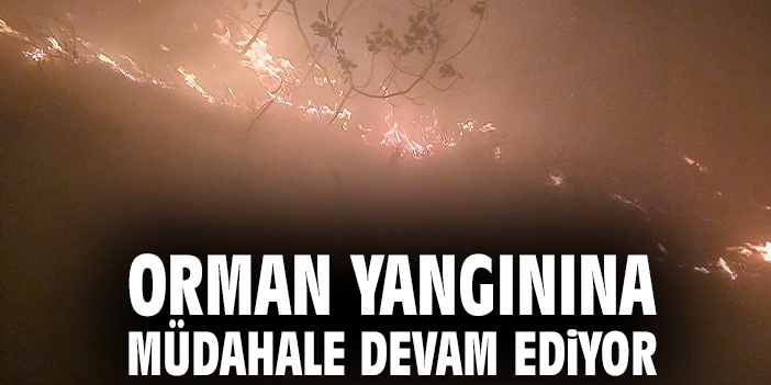 Orman yangınına müdahale devam ediyor
