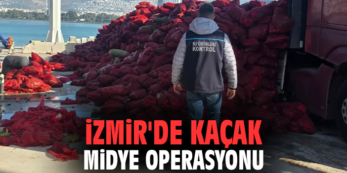 İzmir'de kaçak midye operasyonu