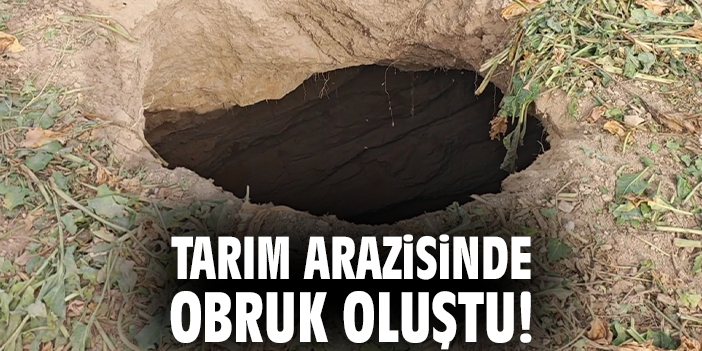 Tarım arazisinde obruk oluştu!