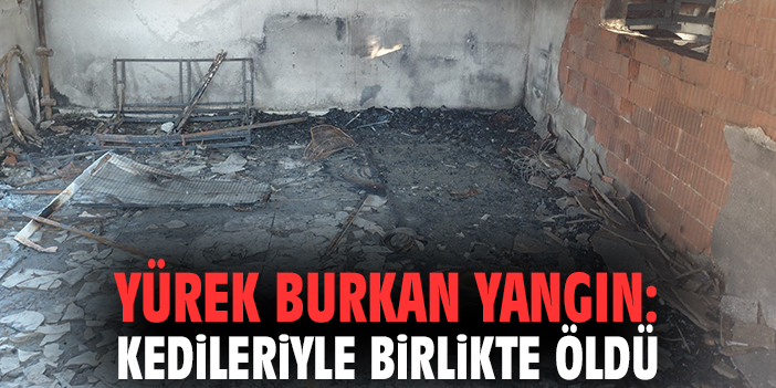 Yürek burkan yangın: Kedileriyle birlikte öldü