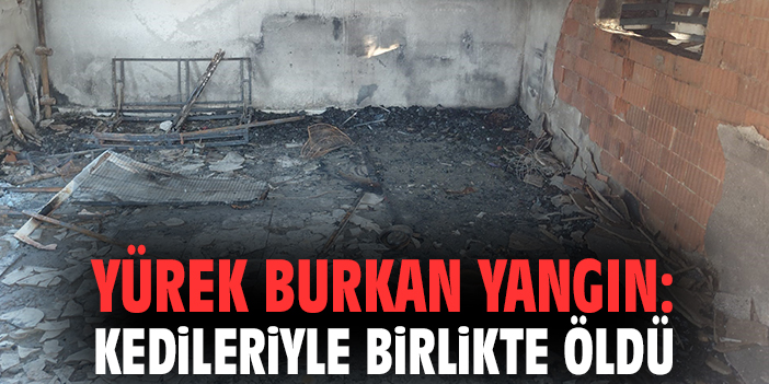 Yürek burkan yangın: Kedileriyle birlikte öldü