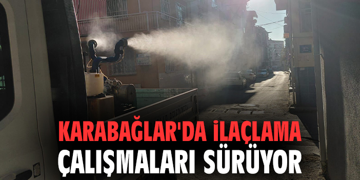 Karabağlar'da ilaçlama çalışmaları sürüyor