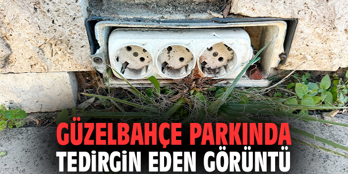 Güzelbahçe parkında tedirgin eden görüntü