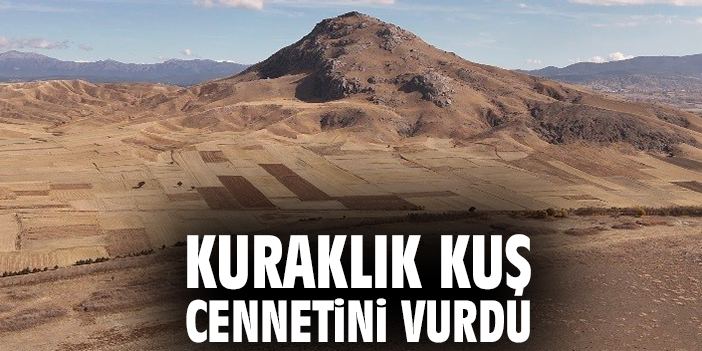 Kuraklık kuş cennetini vurdu