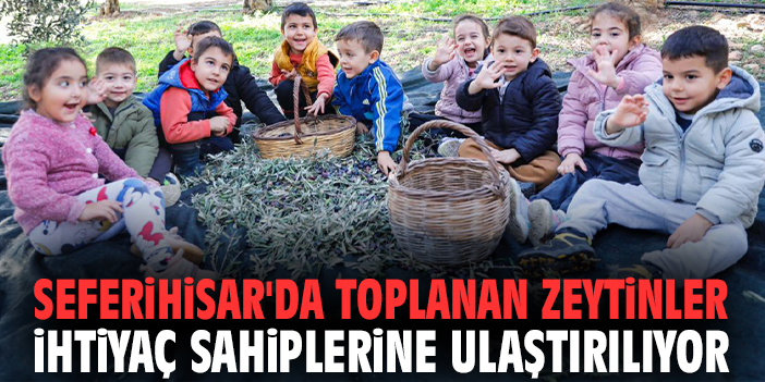 Seferihisar'da toplanan zeytinler ihtiyaç sahiplerine ulaştırılıyor