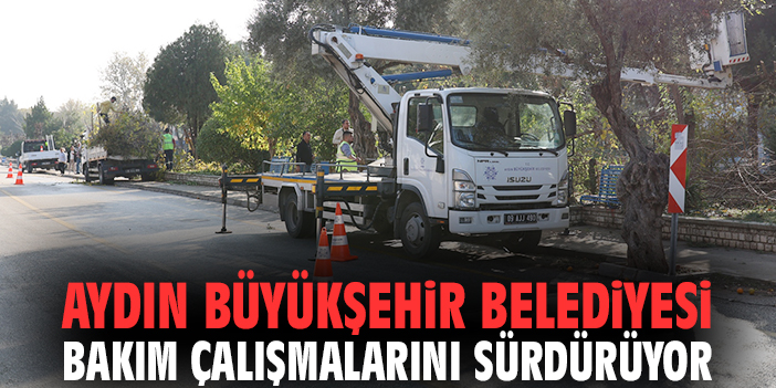Aydın Büyükşehir Belediyesi bakım çalışmalarını sürdürüyor