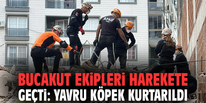 BUCAKUT ekipleri harekete geçti: Yavru köpek kurtarıldı