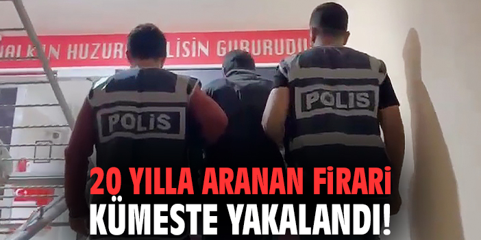 20 yılla aranan firari kümeste yakalandı!