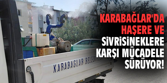 Karabağlar'da haşere ve sivrisineklere karşı mücadele sürüyor!