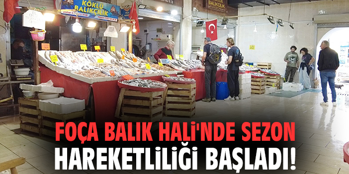 Foça Balık Hali'nde sezon hareketliliği başladı!