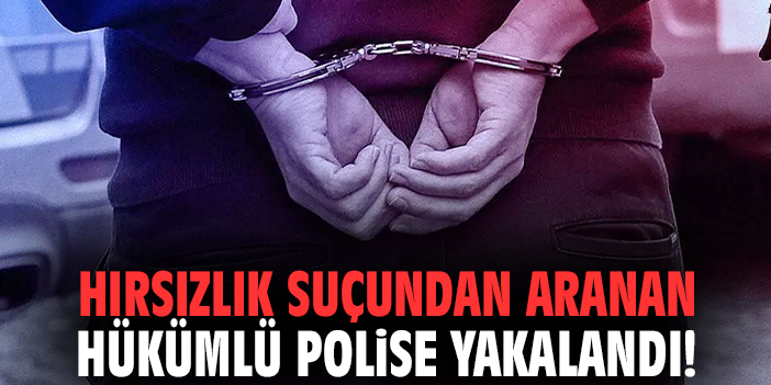 Hırsızlık suçundan aranan hükümlü polise yakalandı!