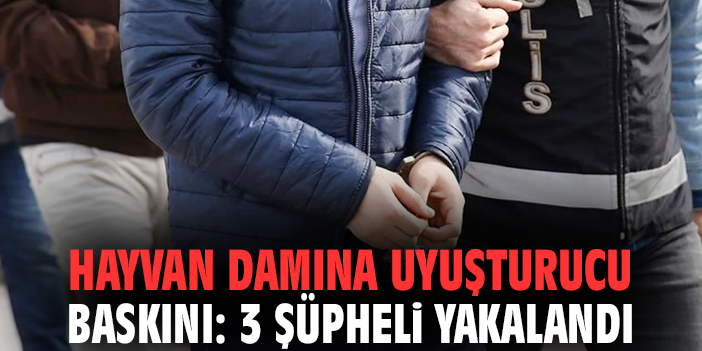 Hayvan damına uyuşturucu baskını: 3 şüpheli yakalandı