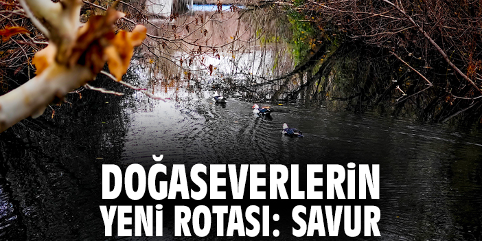 Doğaseverlerin yeni rotası: Savur