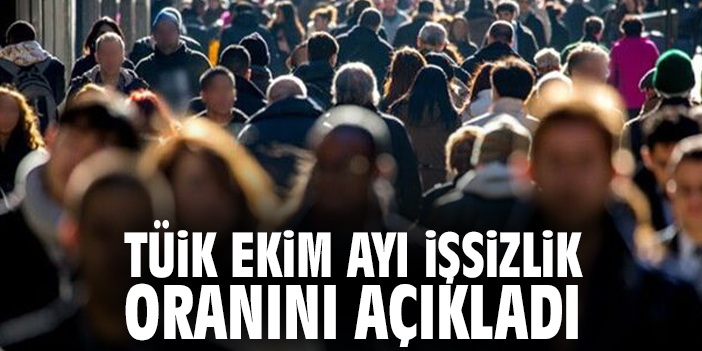 TÜİK Ekim ayı işsizlik oranını açıkladı