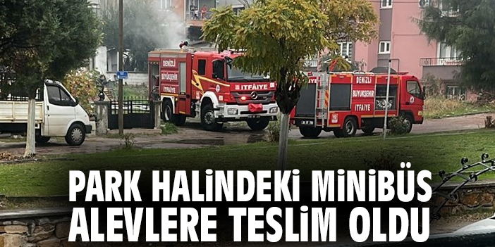 Park halindeki minibüs alevlere teslim oldu