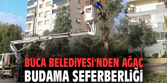 Buca Belediyesi'nden ağaç budama seferberliği