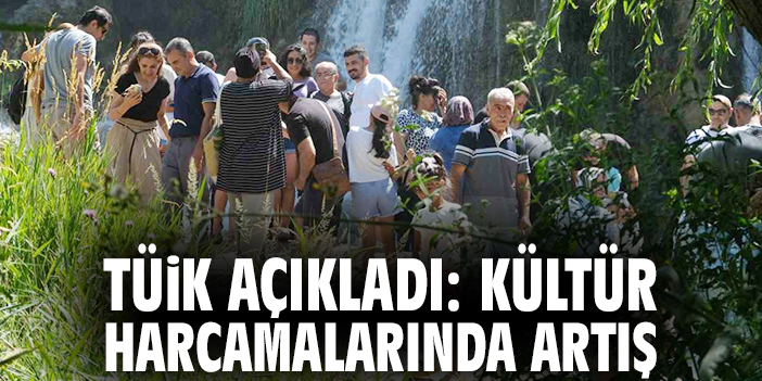 TÜİK açıkladı: Kültür harcamalarında artış