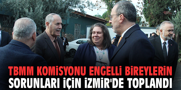 TBMM Komisyonu engelli bireylerin sorunları için İzmir'de toplandı