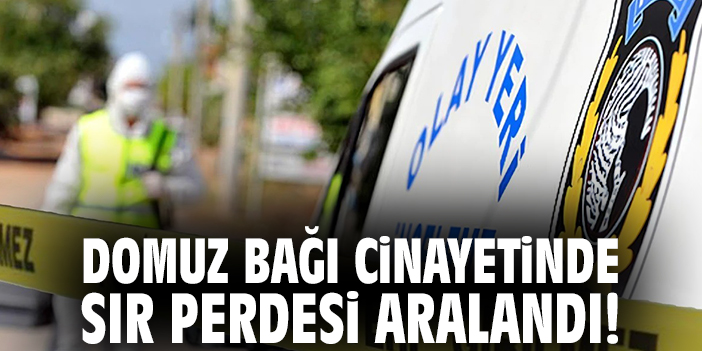 Domuz Bağı Cinayetinde Sır Perdesi Aralandı!