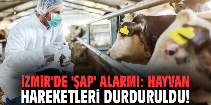 İzmir'de 'şap' alarmı: Hayvan hareketleri durduruldu!