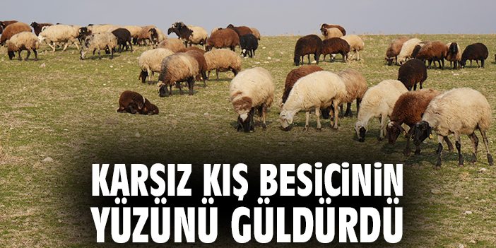 Karsız kış besicinin yüzünü güldürdü