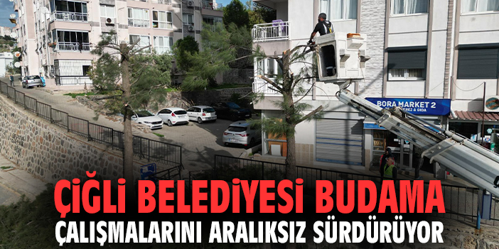 Çiğli Belediyesi budama çalışmalarını aralıksız sürdürüyor