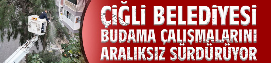 Çiğli Belediyesi budama çalışmalarını aralıksız sürdürüyor