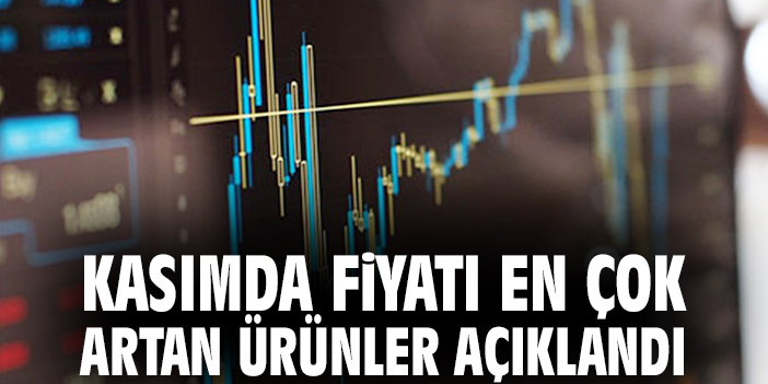 Kasımda fiyatı en çok artan ürünler açıklandı