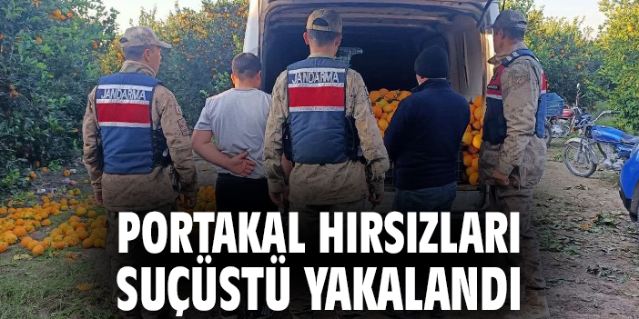 Portakal hırsızları suçüstü yakalandı