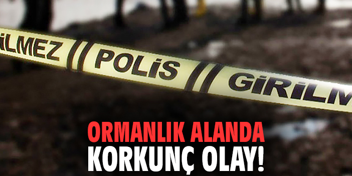 Ormanlık alanda korkunç olay!