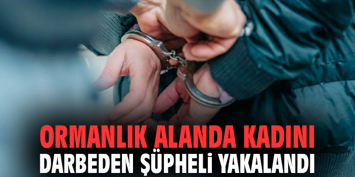 Ormanlık alanda kadını darbeden şüpheli yakalandı