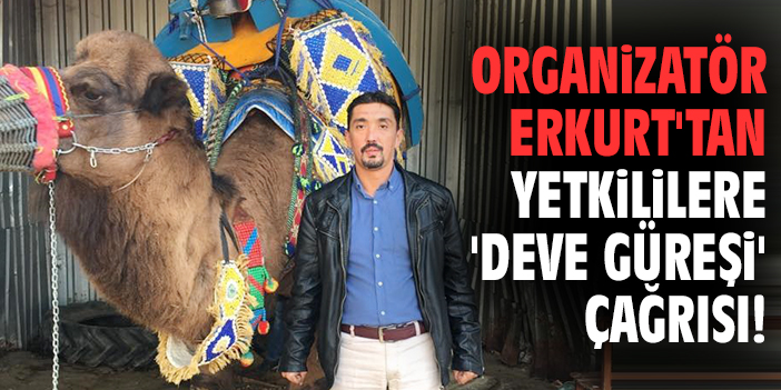 Organizatör Erkurt'tan yetkililere 'deve güreşi' çağrısı!