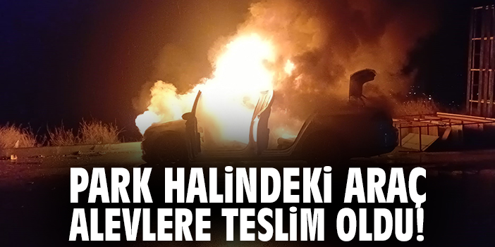 Park halindeki araç alevlere teslim oldu!