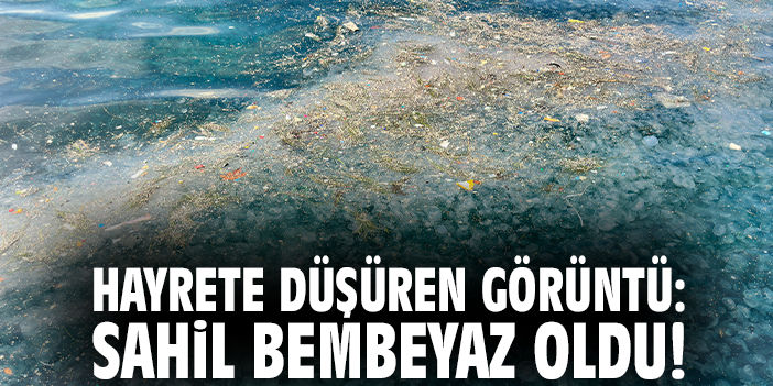 Hayrete düşüren görüntü: Sahil bembeyaz oldu!