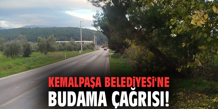 Kemalpaşa Belediyesi'ne budama çağrısı!