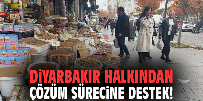 Diyarbakır halkından çözüm sürecine destek!