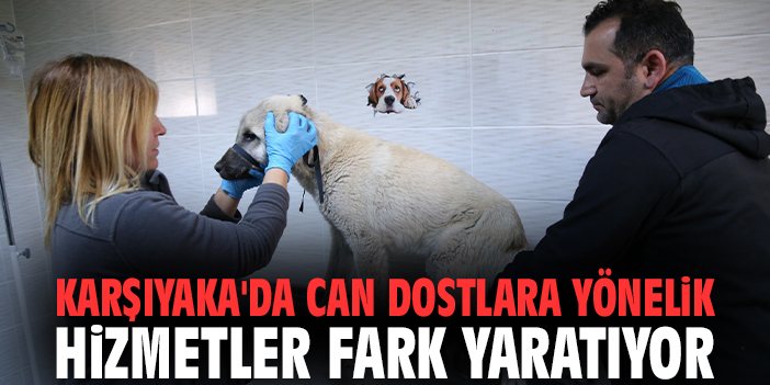 Karşıyaka'da can dostlara yönelik hizmetler fark yaratıyor