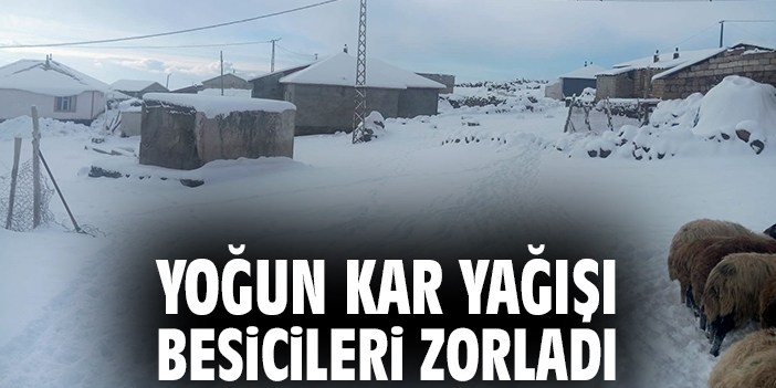 Yoğun kar yağışı besicileri zorladı