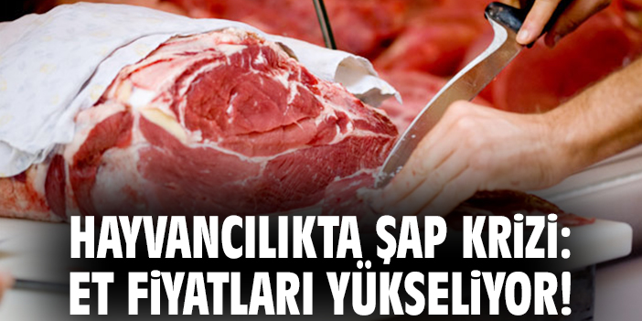 Hayvancılıkta şap krizi: Et fiyatları yükseliyor!